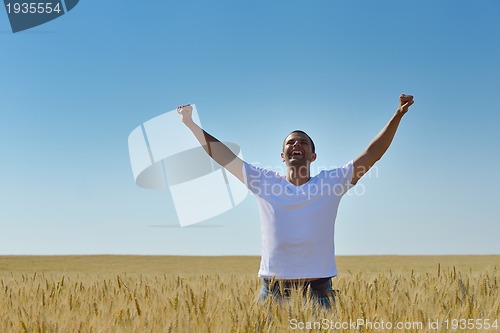 Image of man in wheat field