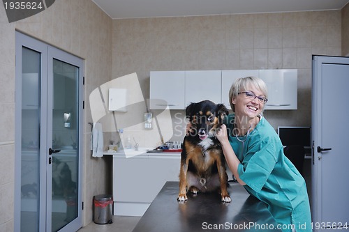 Image of veterinarian and assistant in a small animal clinic