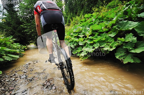 Image of mountain bike
