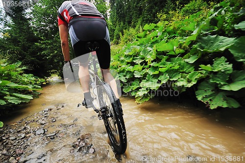 Image of mountain bike