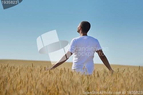 Image of man in wheat field