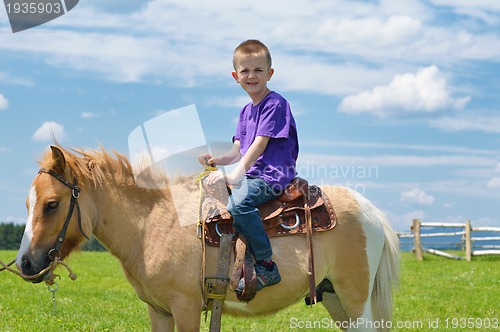 Image of child ride pony