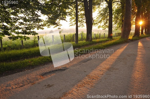 Image of sunrise in beautiful alley