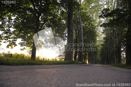 Image of sunrise in beautiful alley