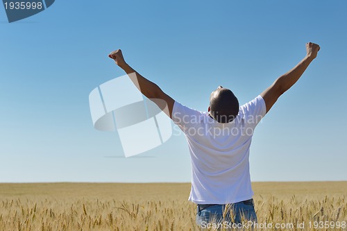 Image of man in wheat field