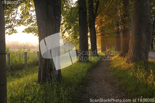 Image of sunrise in beautiful alley