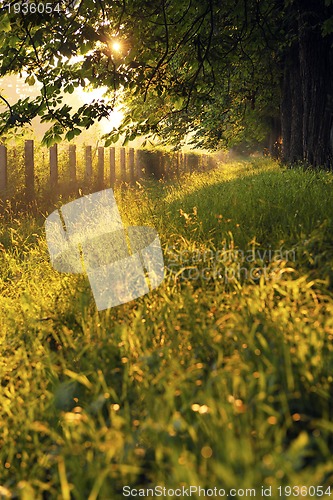 Image of sunrise in beautiful alley