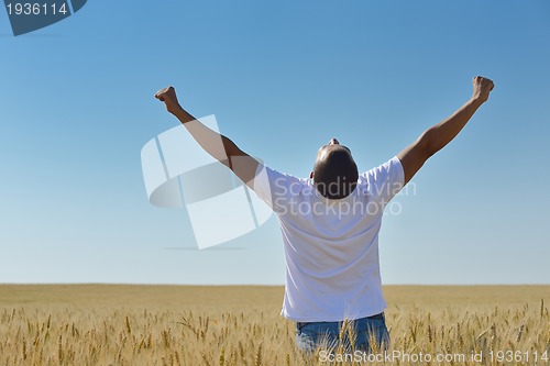 Image of man in wheat field