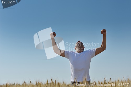 Image of man in wheat field