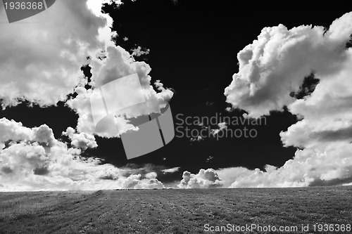 Image of grass and sky nature backgrond