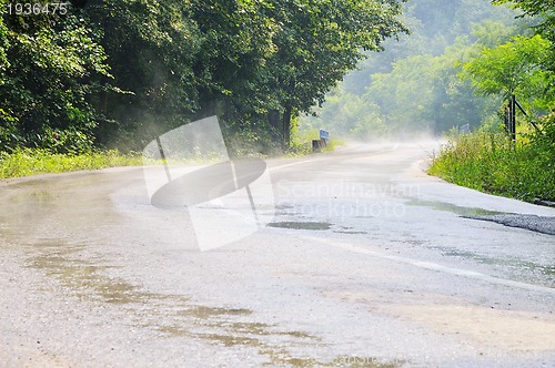 Image of country side road in green forest