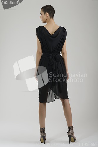 Image of elegant woman in fashionable dress posing in the studio