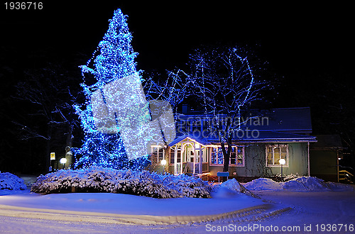 Image of Beautifully decorated Christmas tree