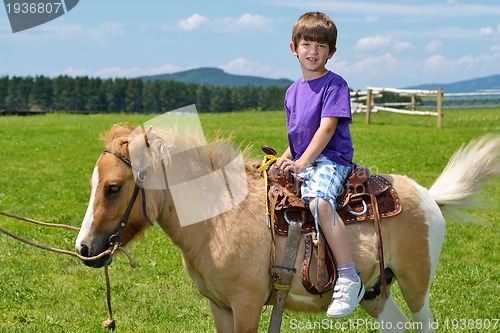 Image of child ride pony