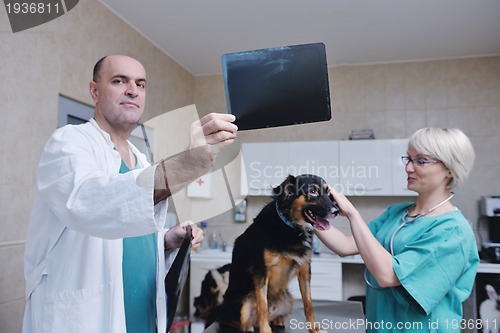 Image of veterinarian and assistant in a small animal clinic