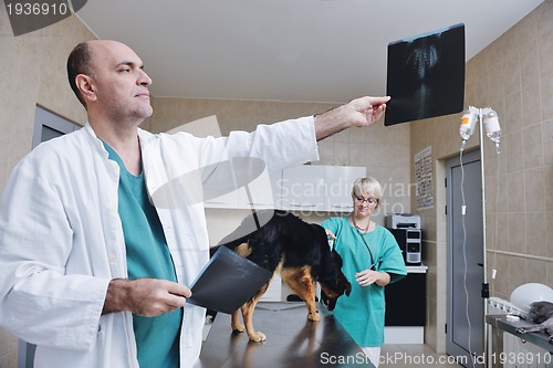 Image of veterinarian and assistant in a small animal clinic