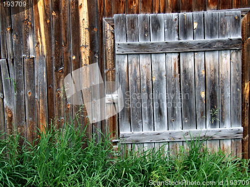 Image of Old wooden door to a shed