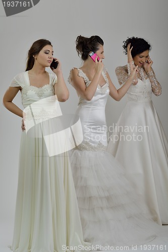 Image of portrait of a three beautiful woman in wedding dress