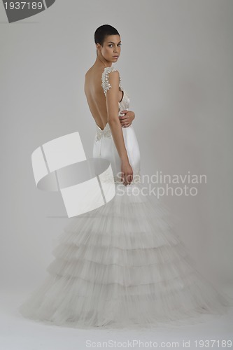 Image of elegant woman in fashionable dress posing in the studio