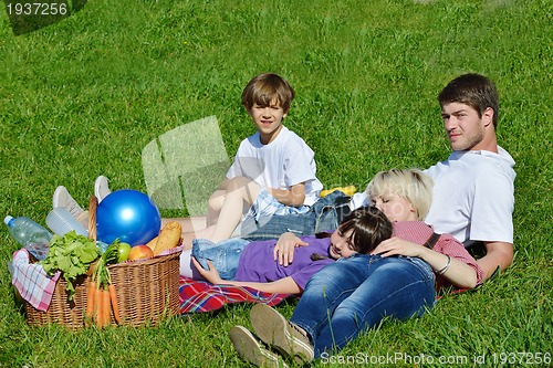 Image of Happy family playing together in a picnic outdoors
