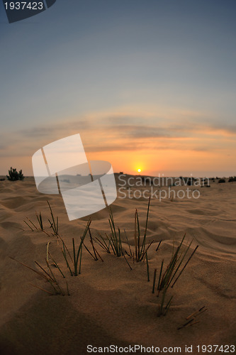 Image of beautiful sunset in desert