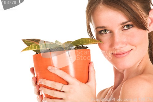 Image of Business Woman #435