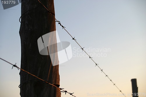 Image of Barbed wire fence