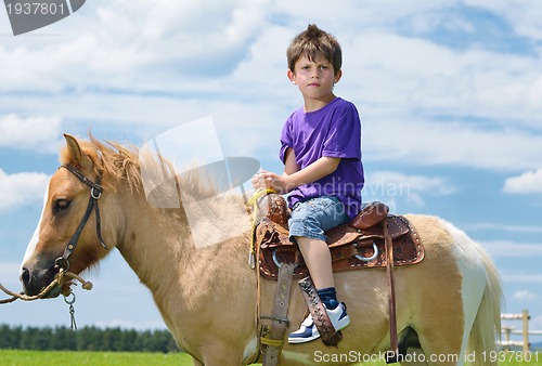 Image of child ride pony