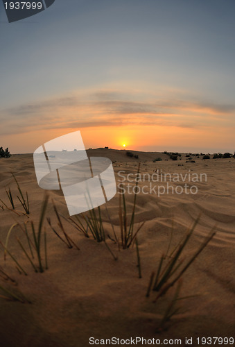 Image of beautiful sunset in desert
