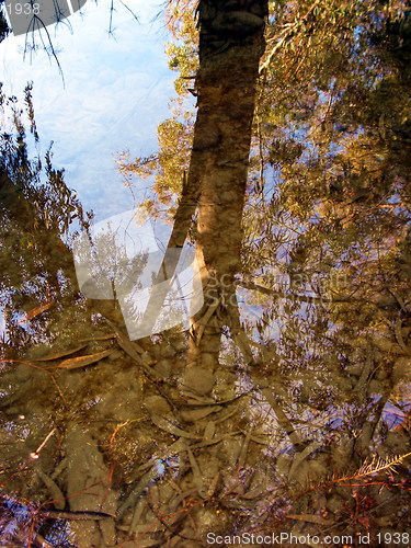 Image of Mirrored in the water. Nicosia. Cyprus