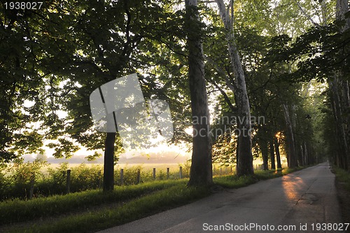 Image of sunrise in beautiful alley