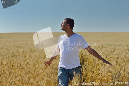 Image of man in wheat field