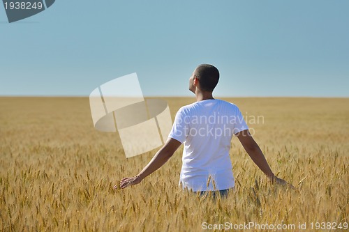 Image of man in wheat field