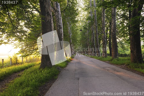 Image of sunrise in beautiful alley