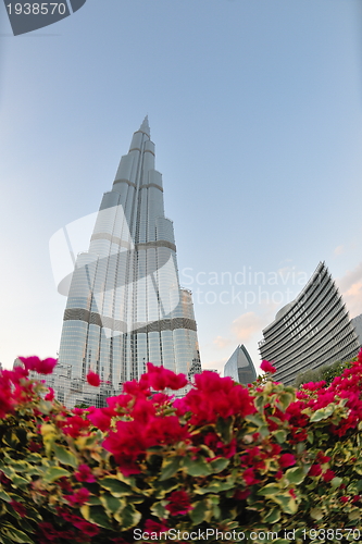 Image of dubai burj khalifa skyscraper