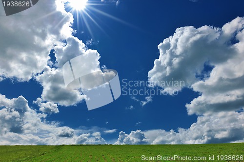 Image of grass and sky nature backgrond