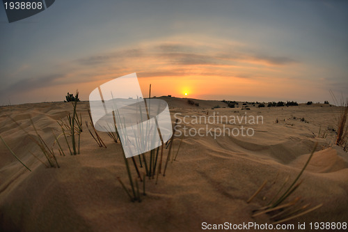 Image of beautiful sunset in desert