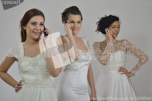 Image of portrait of a three beautiful woman in wedding dress