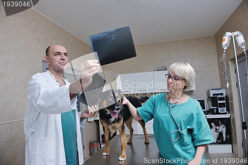 Image of veterinarian and assistant in a small animal clinic