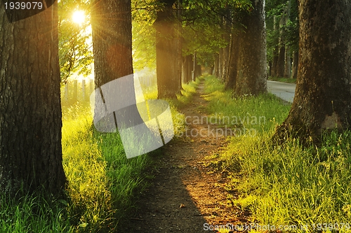 Image of sunrise in beautiful alley