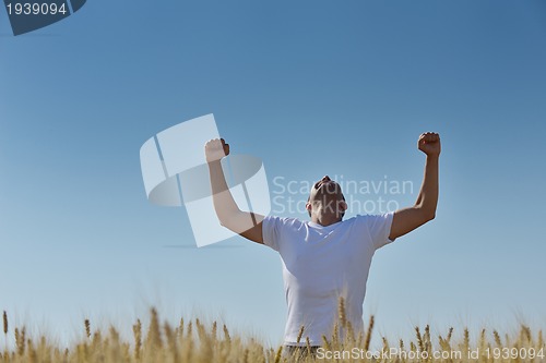 Image of man in wheat field