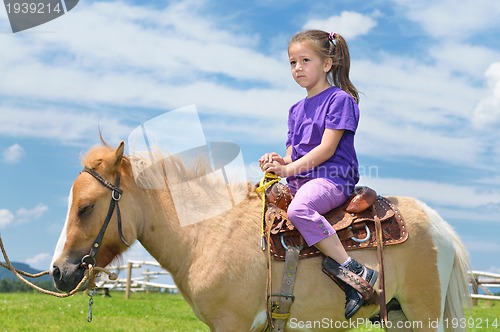 Image of child ride pony