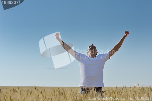 Image of man in wheat field