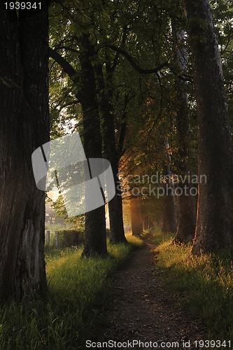 Image of sunrise in beautiful alley