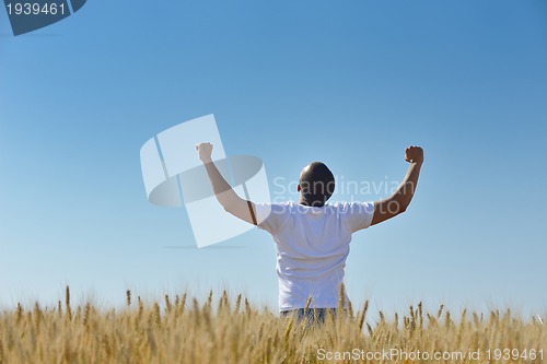 Image of man in wheat field