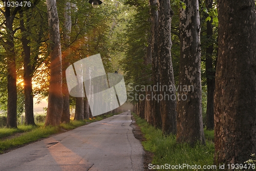 Image of sunrise in beautiful alley