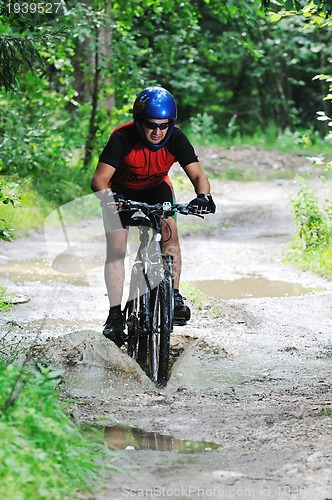 Image of mountain bike