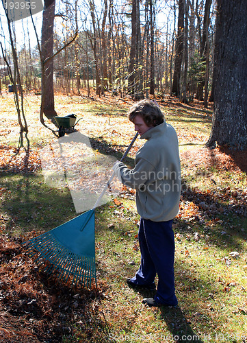 Image of Man working in the garden