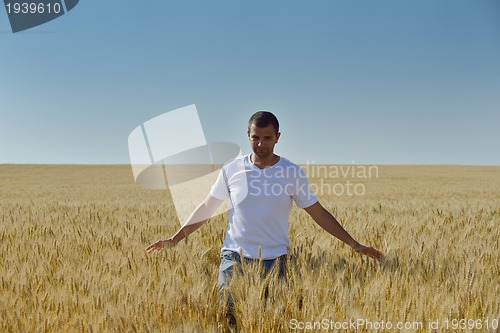 Image of man in wheat field