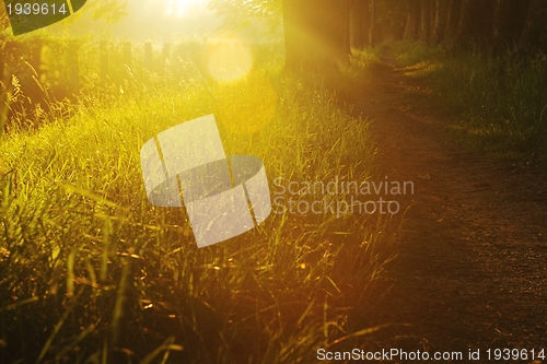 Image of sunrise in beautiful alley